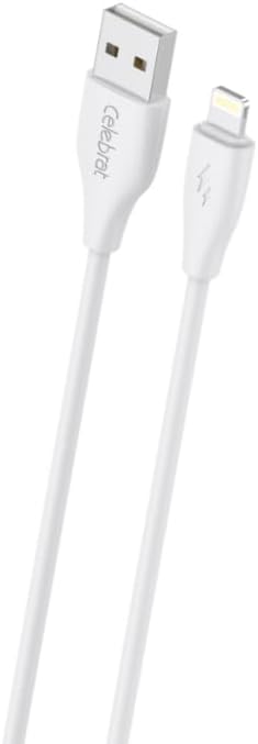 Support 2.4 fast charge RS46L