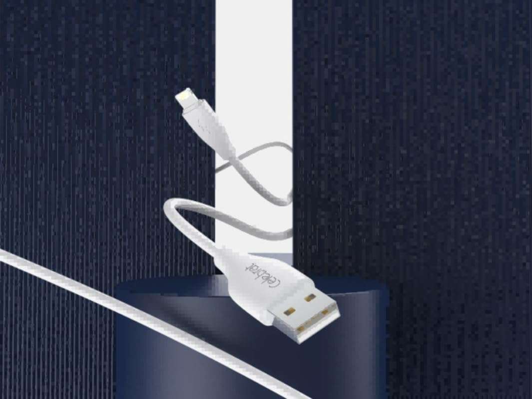 Support 2.4 fast charge RS46L