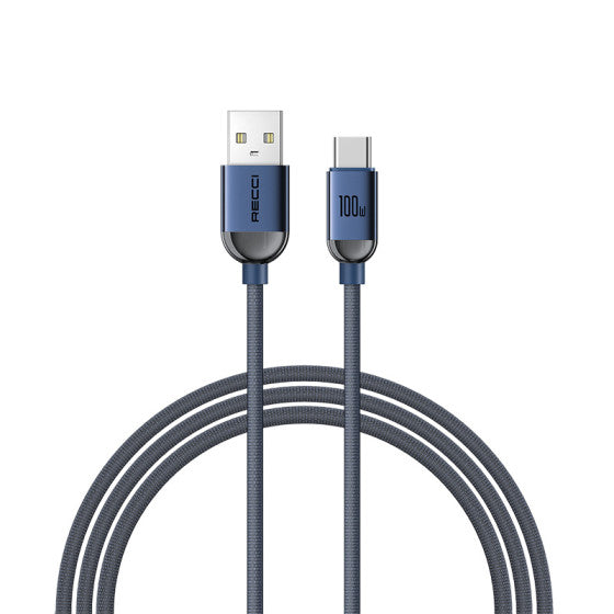 RECCI RS09C 100W FABRIC BRAIDED TYPE-C FAST CHARGING CABLE 1.2M - BLUE