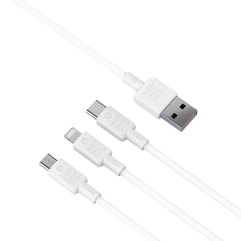 RECCI CABLE RS10C