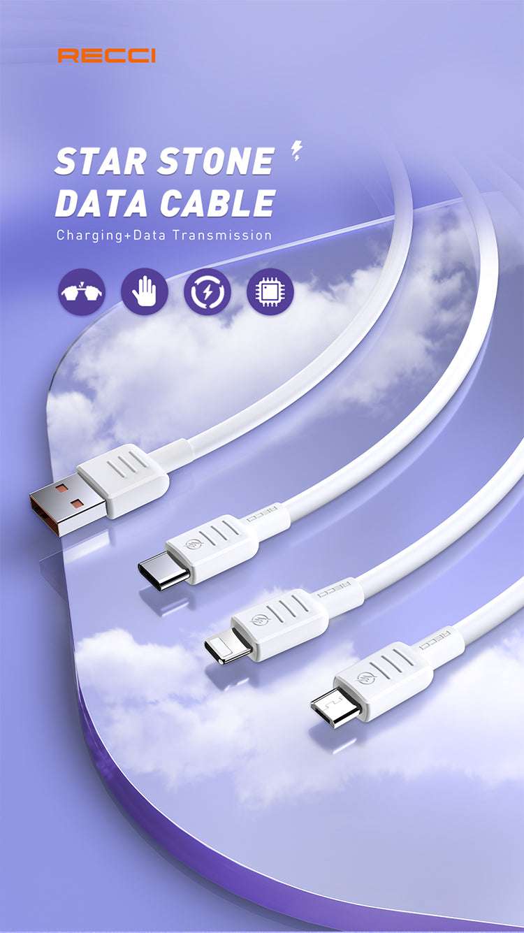 RECCI CABLE RS10C